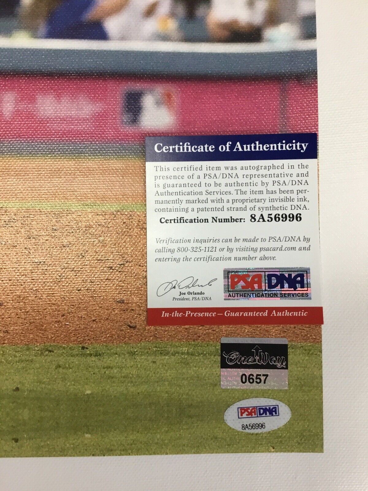 KENLEY JANSEN DODGERS ALL TIME SAVES LEADER SIGNED 18X22 CANVAS PRINT PSA 6996
