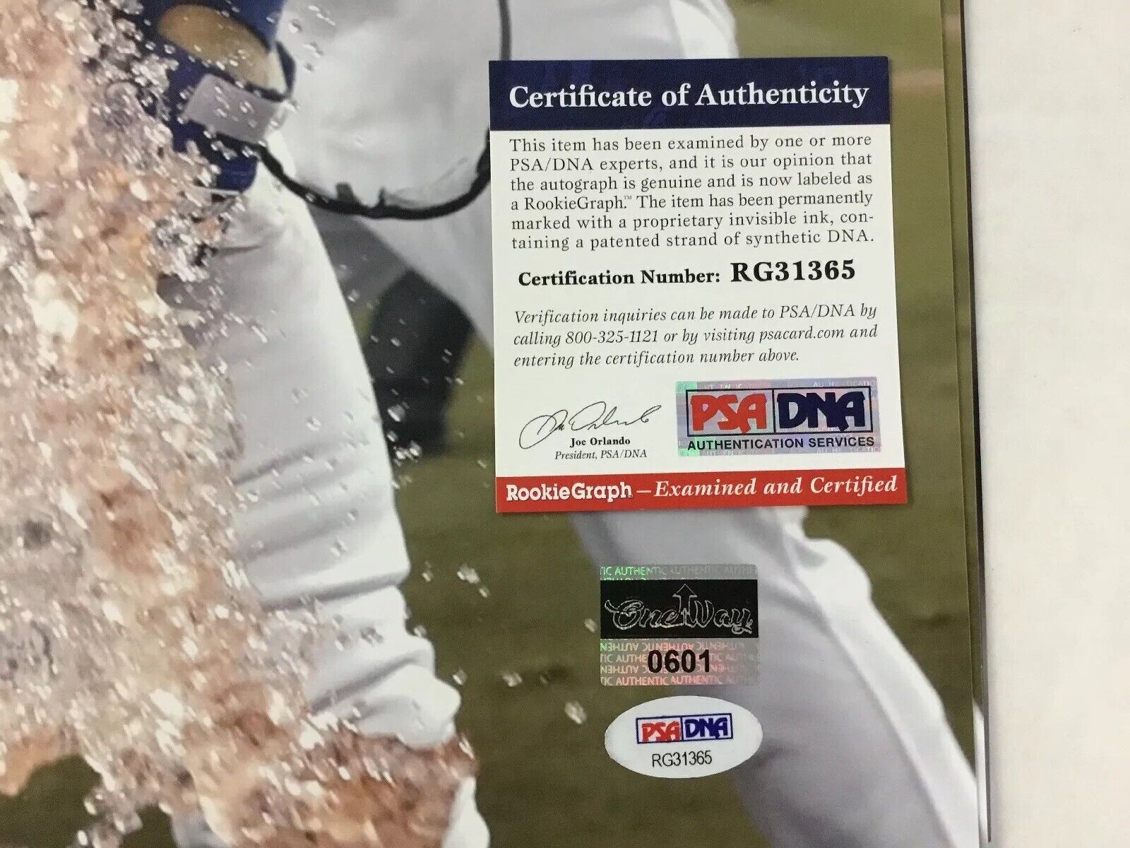 MATT BEATY ALEX VERDUGO DODGERS SIGNED 16X20 PHOTO PSA "WHAT A GREAT FEELING" W