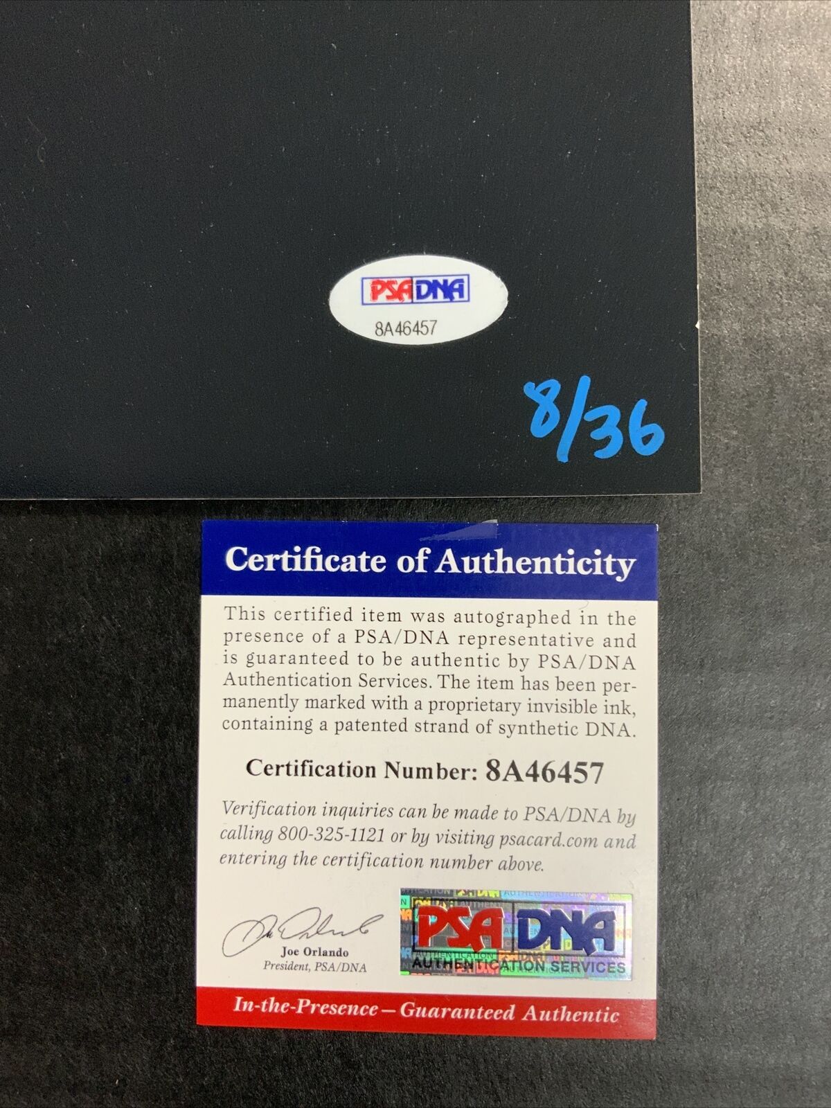 DODGERS DON NEWCOMBE ALEX WOOD 16X20 PHOTO SIGNED BY ALEX WOOD LIMITED /36 PSA