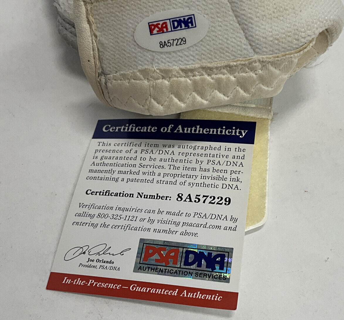 DJ PETERS DODGERS FULL NAME SIGNED GAME USED BATTING GLOVES PSA 8A57228/29