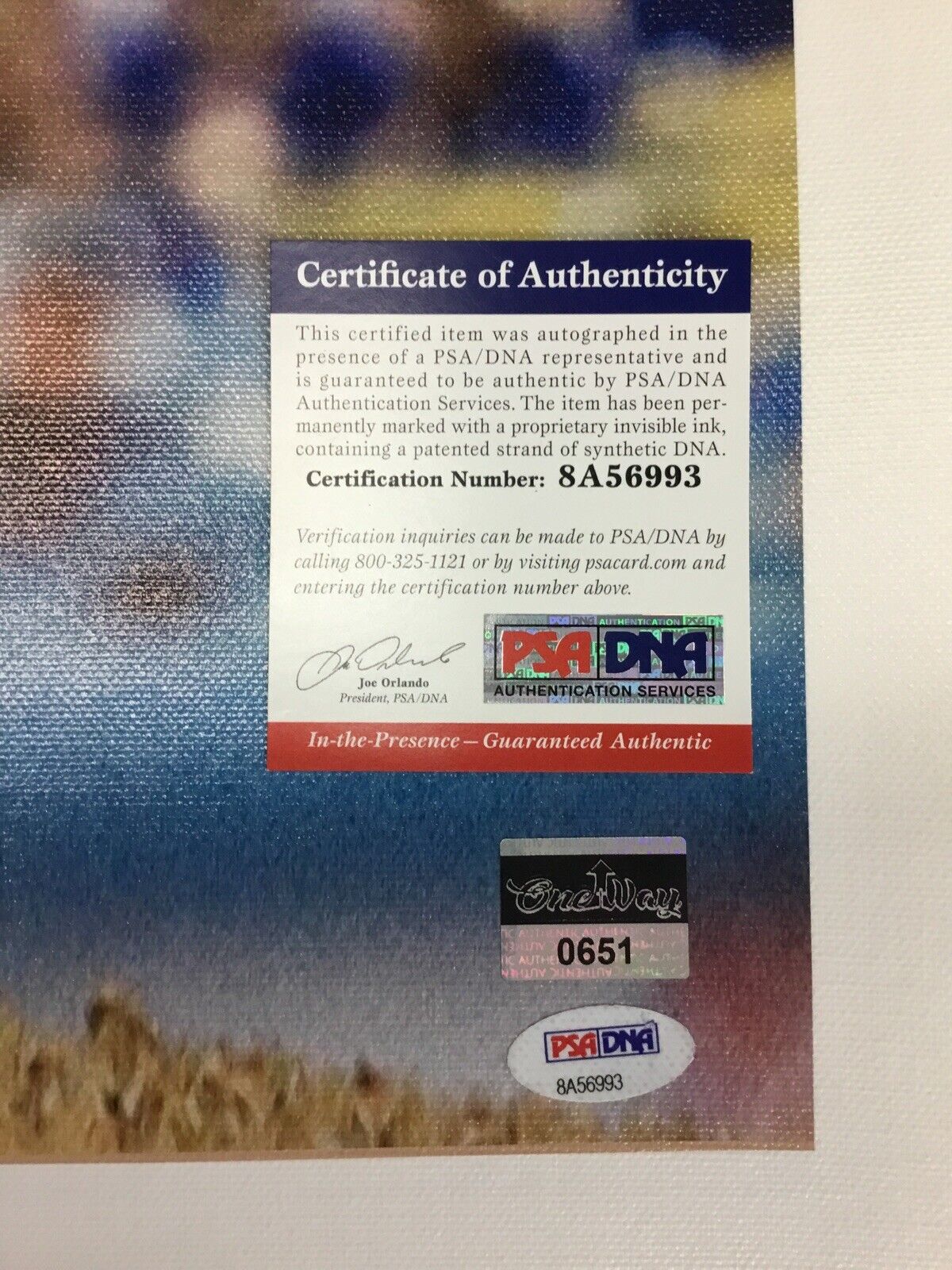 KENLEY JANSEN DODGERS ALL TIME SAVES LEADER SIGNED 18X22 CANVAS PRINT PSA 6993
