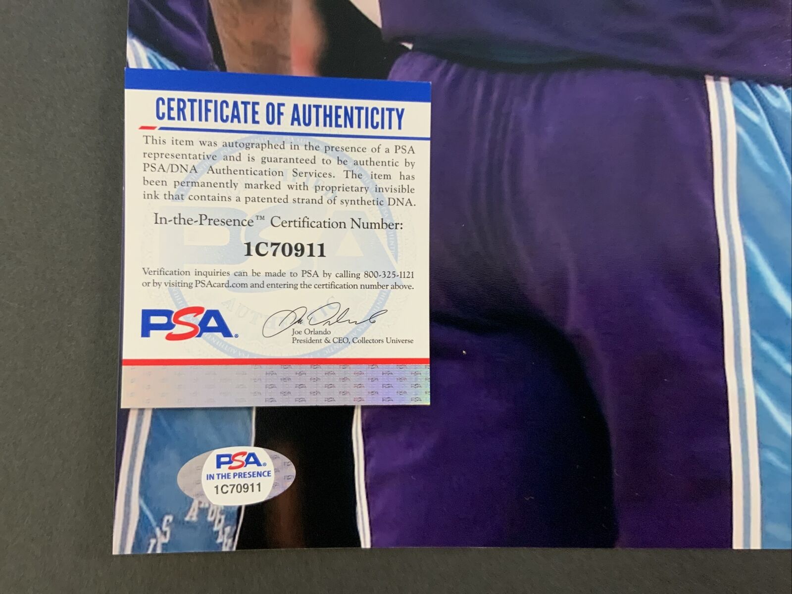 MALIK MONK LAKERS SIGNED 16X20 PHOTO WITH LEBRON JAMES PSA WITNESS AUTHENTICATED