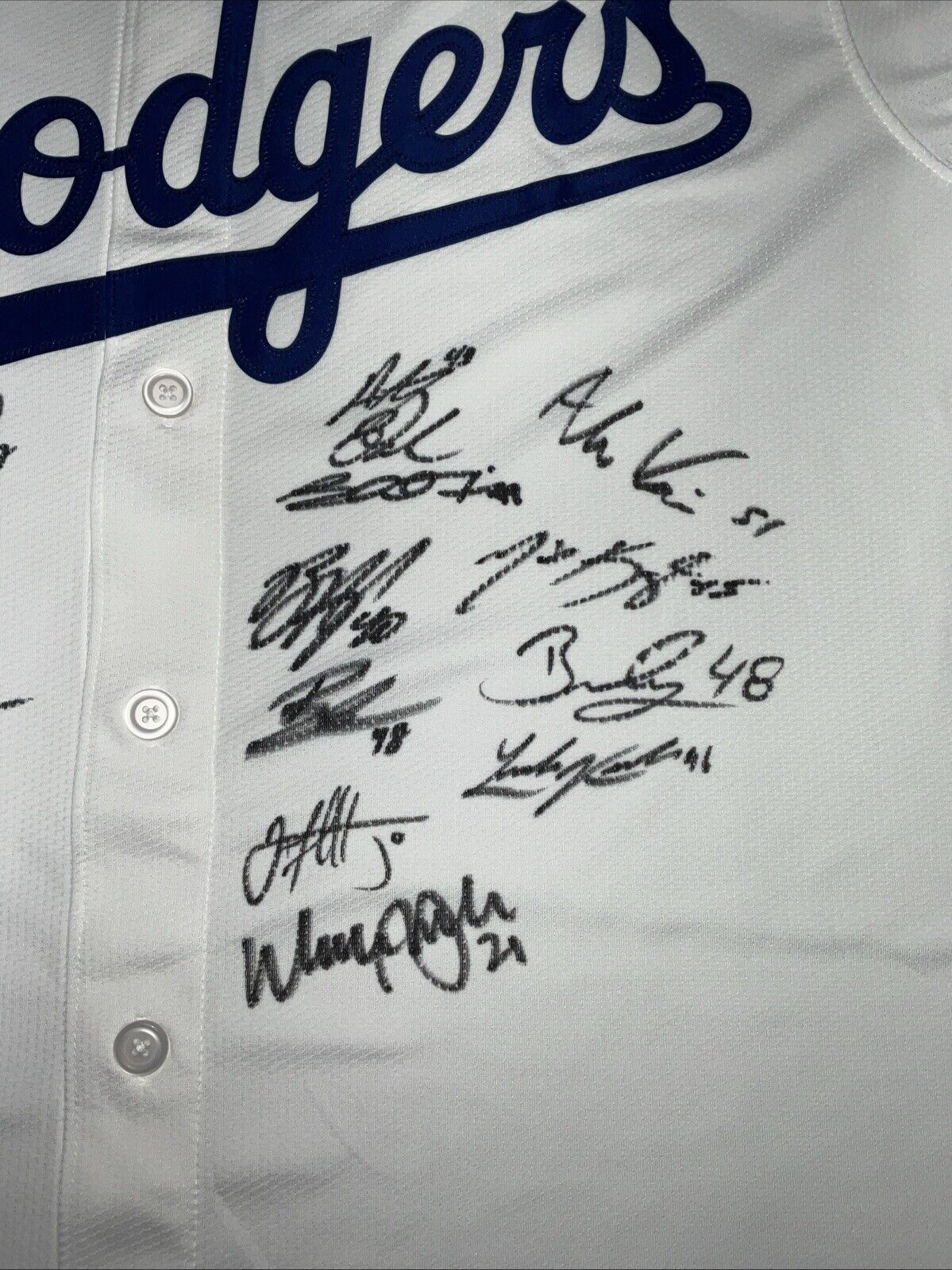 2024 WORLD SERIES CHAMPS DODGERS SIGNED NIKE JERSEY 17 AUTOS FREEMAN TEO PSA 118