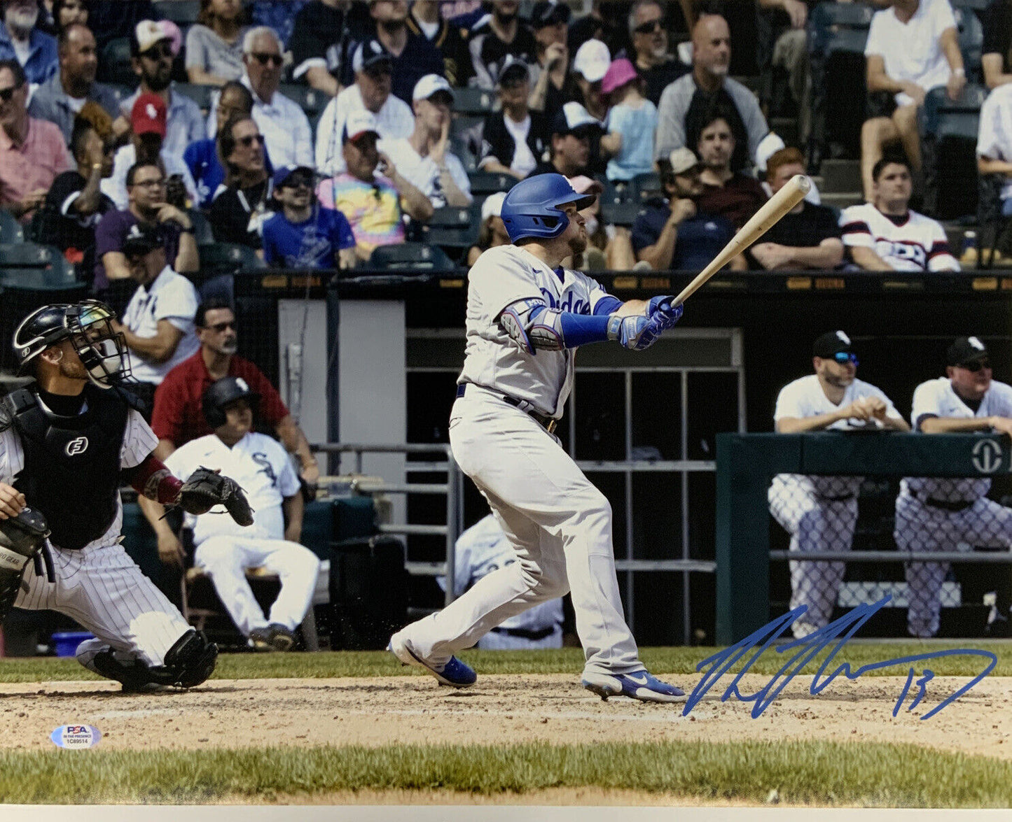 MAX MUNCY DODGERS SIGNED 16X20 HITTING  PHOTO  VS WHITE SOX PSA WITNESS