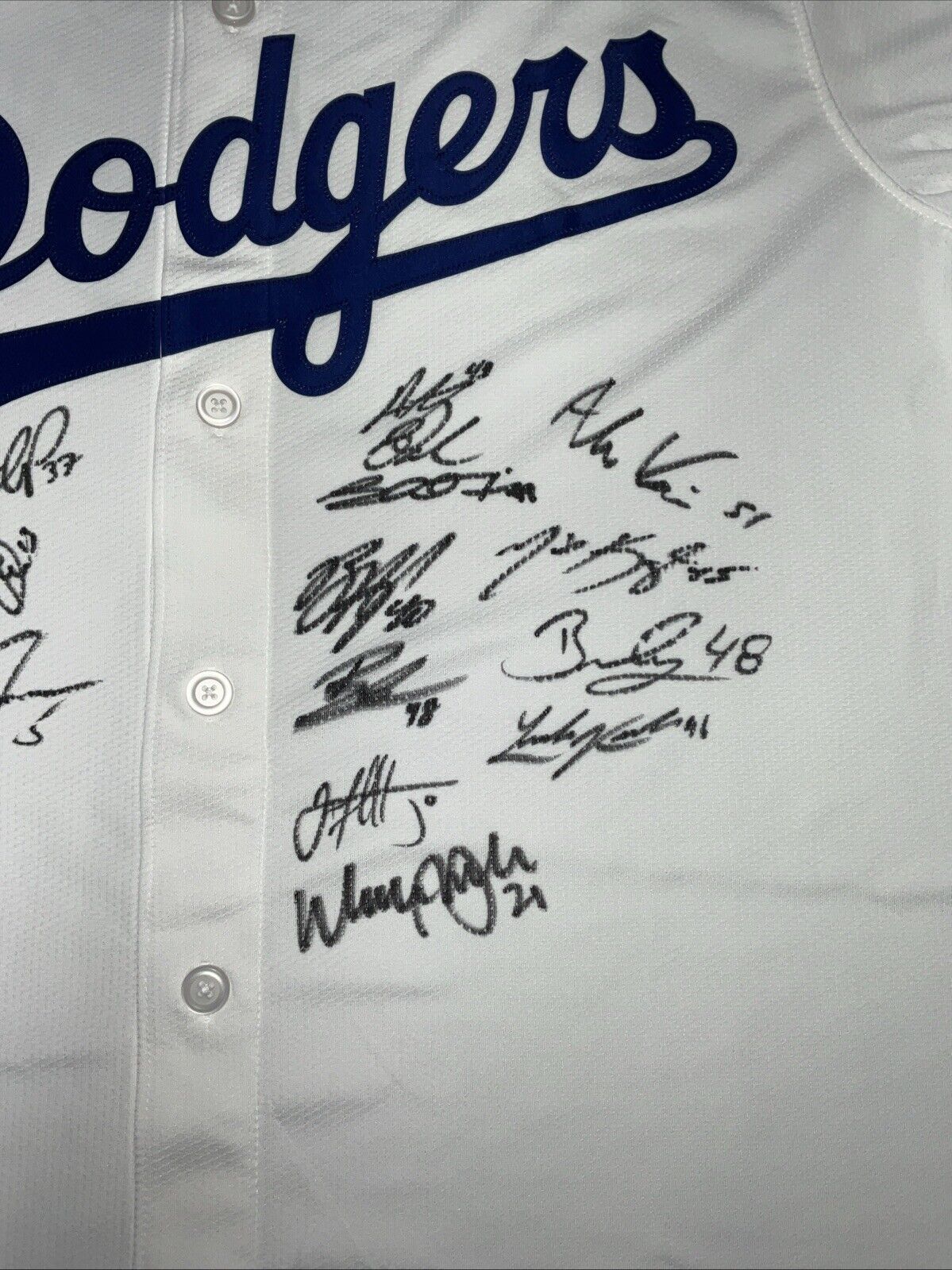 2024 WORLD SERIES CHAMPS DODGERS SIGNED NIKE JERSEY 17 AUTOS FREEMAN TEO PSA 118