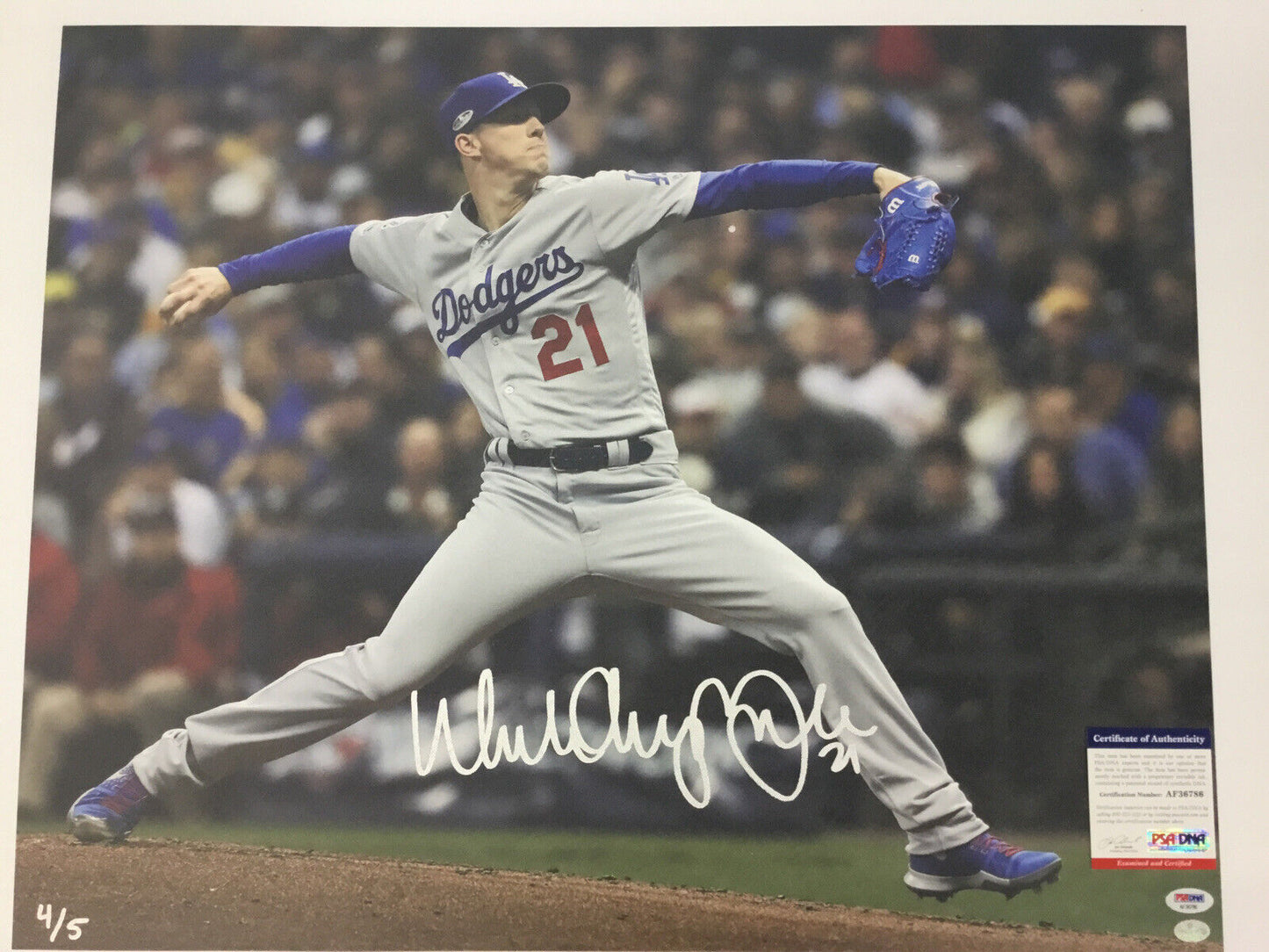 DODGERS WALKER ANTHONY BUEHLER FULL NAME SIGNED 4/5 20X24 UNFRAMED CANVAS PSA