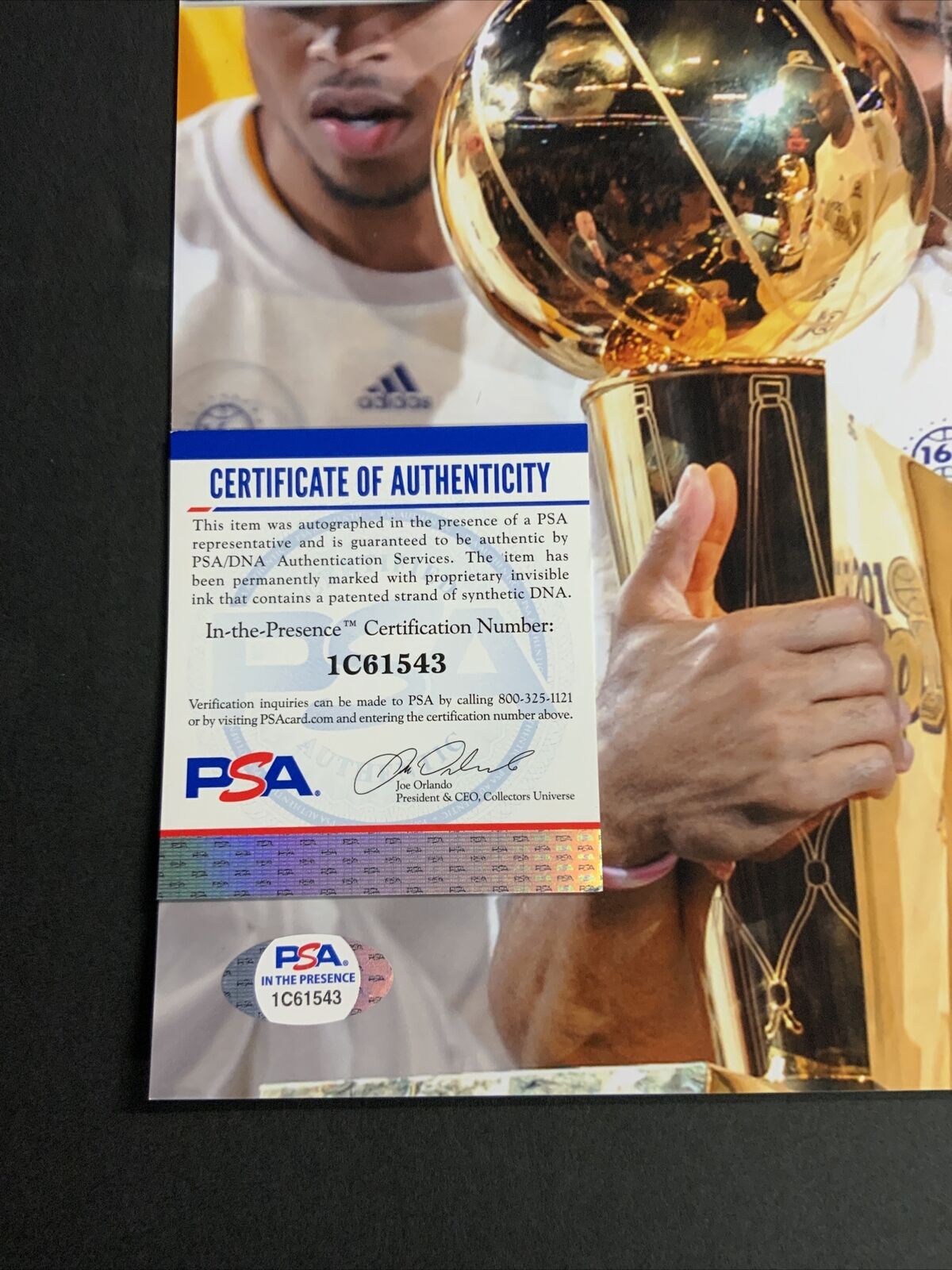 DEREK FISHER SIGNED 11X14 PHOTO WITH KOBE BRYANT "5X NBA CHAMPS" INSCRIP PSA ITP