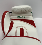 JULIO CESAR CHAVEZ SIGNED TITLE MEXICO LH GLOVE WITH "VIVA MEXICO" BAS W210308